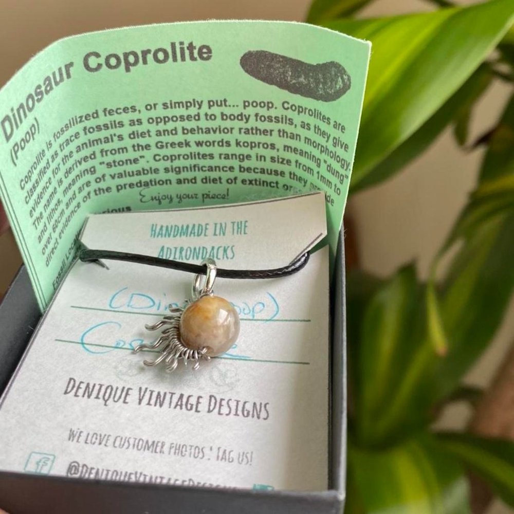 Dinosaur Poop Fossil (Coprolite) in your choice of wire 1/2 sun Pendant